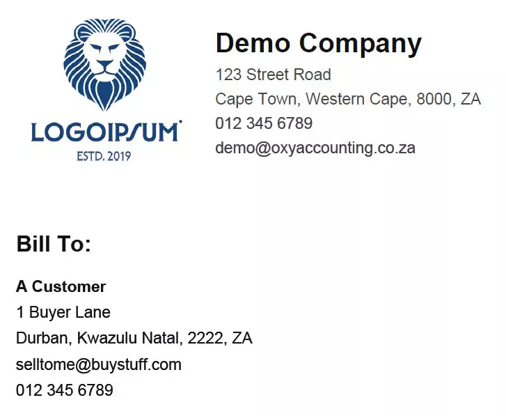 screenshot showing company branding on OxyAccounting's cheap online invoicing south africa